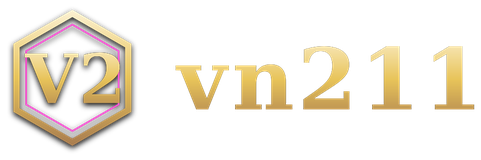 vn211 logo